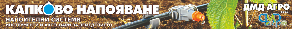 Baner